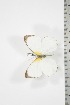  ( - BC-TB3709)  @13 [ ] Copyright (2010) Unspecified Research Collection of Thierry Bouyer