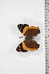  ( - BC-TB3749)  @12 [ ] Copyright (2010) Unspecified Research Collection of Thierry Bouyer