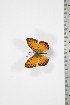  ( - BC-TB3752)  @12 [ ] Copyright (2010) Unspecified Research Collection of Thierry Bouyer