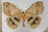  ( - BC-TB5730)  @14 [ ] Copyright (2010) Thierry Bouyer Unspecified