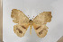  ( - BC-TB5746)  @14 [ ] Copyright (2010) Thierry Bouyer Unspecified