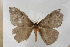  ( - BC-TB5784)  @13 [ ] Copyright (2010) Thierry Bouyer Unspecified