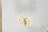  ( - BC-TB5789)  @12 [ ] Copyright (2010) Thierry Bouyer Unspecified