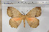  ( - BC-TB5804)  @13 [ ] Copyright (2010) Thierry Bouyer Unspecified