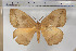  ( - BC-TB5809)  @14 [ ] Copyright (2010) Thierry Bouyer Unspecified