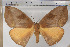  ( - BC-TB5812)  @14 [ ] Copyright (2010) Thierry Bouyer Unspecified