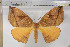  ( - BC-TB5815)  @14 [ ] Copyright (2010) Thierry Bouyer Unspecified