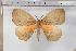  ( - BC-TB5817)  @13 [ ] Copyright (2010) Thierry Bouyer Unspecified