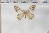  ( - BC-TB6012)  @13 [ ] Copyright (2010) Thierry Bouyer Unspecified