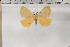  ( - BC-TB6050)  @13 [ ] Copyright (2010) Thierry Bouyer Unspecified