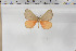  ( - BC-TB6051)  @11 [ ] Copyright (2010) Thierry Bouyer Unspecified