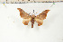  ( - BC-TB6125)  @13 [ ] Copyright (2010) Thierry Bouyer Unspecified
