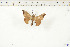  ( - BC-TB6184)  @13 [ ] Copyright (2010) Thierry Bouyer Unspecified