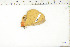  ( - BC-TB6237)  @12 [ ] Copyright (2010) Thierry Bouyer Unspecified