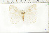  ( - BC-TB6263)  @11 [ ] Copyright (2010) Thierry Bouyer Unspecified