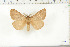  ( - BC-TB6283)  @13 [ ] Copyright (2010) Thierry Bouyer Unspecified