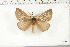  ( - BC-TB6383)  @13 [ ] Copyright (2010) Thierry Bouyer Unspecified