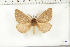  ( - BC-TB6384)  @13 [ ] Copyright (2010) Thierry Bouyer Unspecified