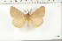  ( - BC-TB6386)  @13 [ ] Copyright (2010) Thierry Bouyer Unspecified