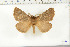  ( - BC-TB6388)  @13 [ ] Copyright (2010) Thierry Bouyer Unspecified