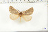  ( - BC-TB6391)  @13 [ ] Copyright (2010) Thierry Bouyer Unspecified