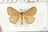  ( - BC-TB6392)  @11 [ ] Copyright (2010) Thierry Bouyer Unspecified