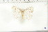  ( - BC-TB6410)  @11 [ ] Copyright (2010) Thierry Bouyer Unspecified