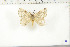  ( - BC-TB6412)  @13 [ ] Copyright (2010) Thierry Bouyer Unspecified