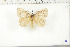  ( - BC-TB6413)  @14 [ ] Copyright (2010) Thierry Bouyer Unspecified
