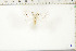  ( - BC-TB6451)  @12 [ ] Copyright (2010) Thierry Bouyer Unspecified