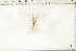  ( - BC-TB6452)  @12 [ ] Copyright (2010) Thierry Bouyer Unspecified