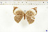  ( - BC-TB6539)  @11 [ ] Copyright (2010) Thierry Bouyer Unspecified