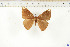  ( - BC-TB6540)  @11 [ ] Copyright (2010) Thierry Bouyer Unspecified