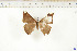  ( - BC-TB6541)  @11 [ ] Copyright (2010) Thierry Bouyer Unspecified