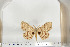  ( - BC-TB6687)  @12 [ ] Copyright (2010) Thierry Bouyer Research Collection of Thierry Bouyer