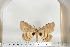  ( - BC-TB6689)  @12 [ ] Copyright (2010) Thierry Bouyer Research Collection of Thierry Bouyer
