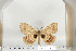  ( - BC-TB6690)  @12 [ ] Copyright (2010) Thierry Bouyer Research Collection of Thierry Bouyer