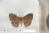  ( - BC-TB6755)  @13 [ ] Copyright (2010) Thierry Bouyer Research Collection of Thierry Bouyer