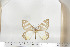  ( - BC-TB6774)  @12 [ ] Copyright (2010) Thierry Bouyer Research Collection of Thierry Bouyer