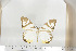  ( - BC-TB6776)  @12 [ ] Copyright (2010) Thierry Bouyer Research Collection of Thierry Bouyer