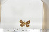  ( - BC-TB6783)  @12 [ ] Copyright (2010) Thierry Bouyer Research Collection of Thierry Bouyer