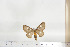  ( - BC-TB6784)  @13 [ ] Copyright (2010) Thierry Bouyer Research Collection of Thierry Bouyer