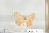  ( - BC-TB6789)  @13 [ ] Copyright (2010) Thierry Bouyer Research Collection of Thierry Bouyer