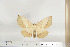  ( - BC-TB6791)  @13 [ ] Copyright (2010) Thierry Bouyer Research Collection of Thierry Bouyer