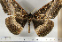  ( - BC-TB6810)  @12 [ ] Copyright (2010) Thierry Bouyer Research Collection of Thierry Bouyer