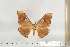  ( - BC-TB6819)  @13 [ ] Copyright (2010) Thierry Bouyer Research Collection of Thierry Bouyer