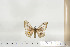  ( - BC-TB6825)  @12 [ ] Copyright (2010) Thierry Bouyer Research Collection of Thierry Bouyer
