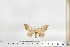  ( - BC-TB6851)  @12 [ ] Copyright (2010) Thierry Bouyer Research Collection of Thierry Bouyer