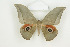  ( - BC-TB8474)  @14 [ ] Copyright (2012) Thierry Bouyer Research Collection of Thierry Bouyer