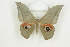  ( - BC-TB8478)  @14 [ ] Copyright (2012) Thierry Bouyer Research Collection of Thierry Bouyer